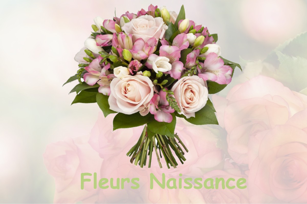 fleurs naissance FONTENAY-SUR-LOING