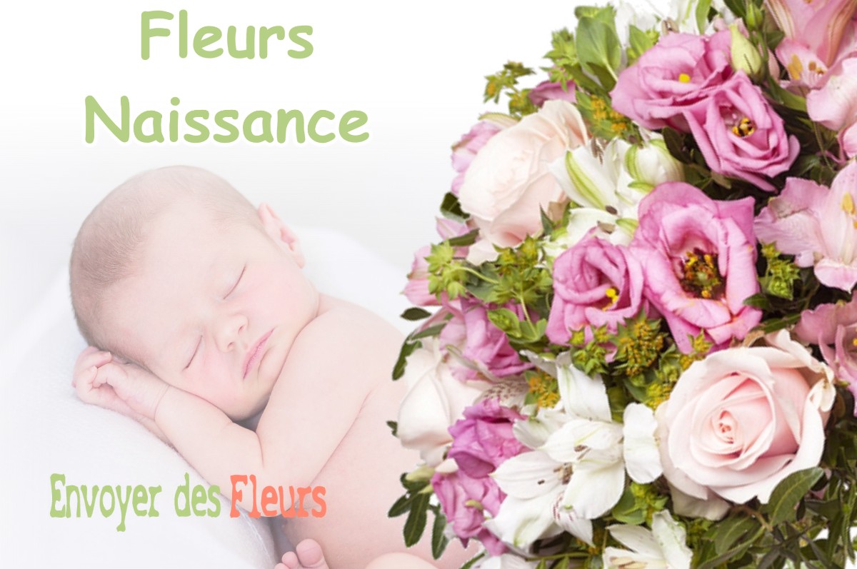 lIVRAISON FLEURS NAISSANCE à FONTENAY-SUR-LOING